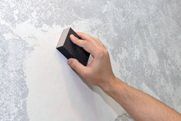 Best Biohazard Mold Removal  in Elkhart, IN