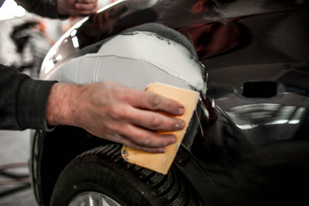 Best Mold Damage Restoration  in Elkhart, IN