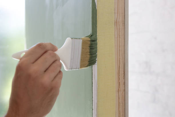 Best Attic Mold Removal  in Elkhart, IN