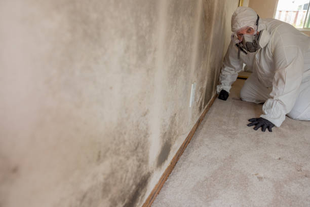 Mold Remediation for Vacation Homes in Elkhart, IN
